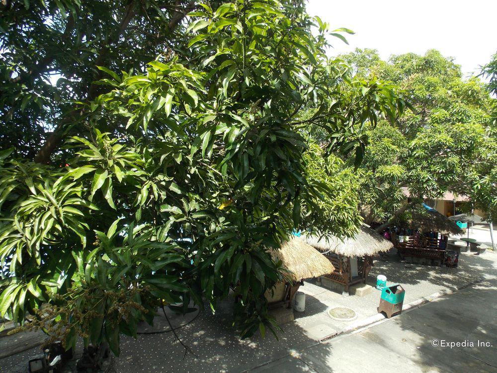 Caribbean Water Park And Resotel Bacolod Exterior photo